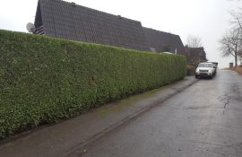 Hecken- und Strauchschnitt, Garten und Pflegearbeiten