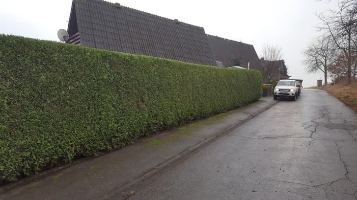 Hecken- und Strauchschnitt, Garten und Pflegearbeiten
