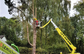 Garten und Landschaftsbau Holzmichel Baumfällung mit schwerem Gerät Kopie